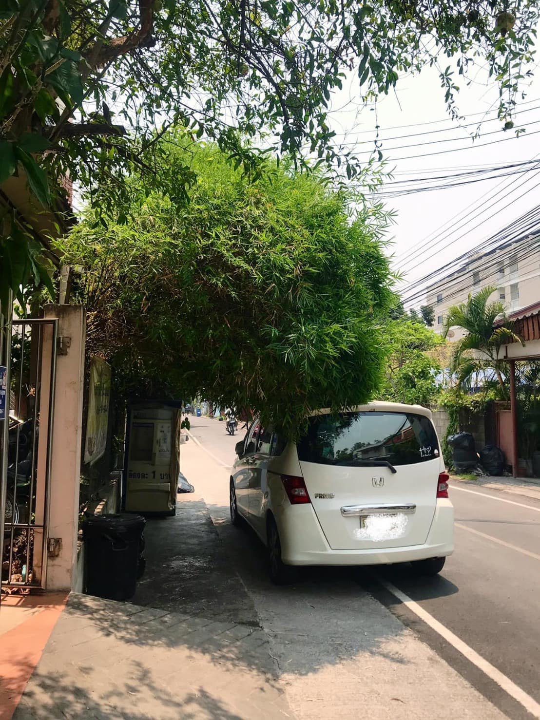 143841604_821842671725129_6354502733611660412_n